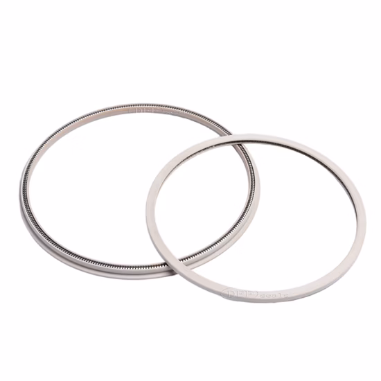 High Quality PTFE Spring Energized Seals with Slanted Coil Spring