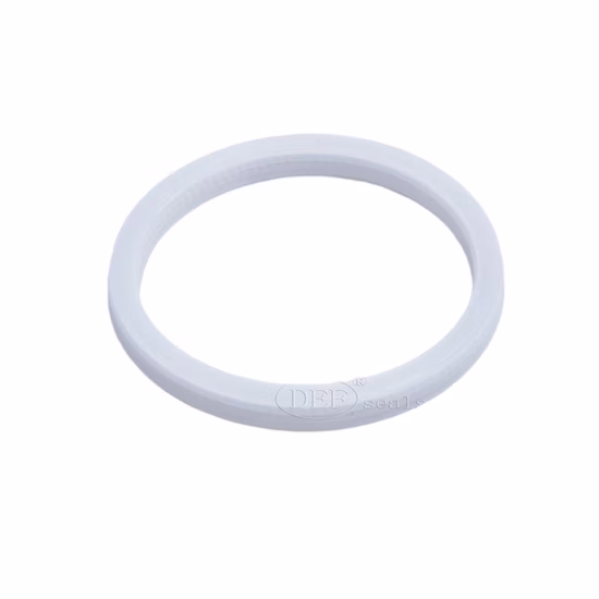 High Quality PTFE Spring Energized Seals with Slanted Coil Spring