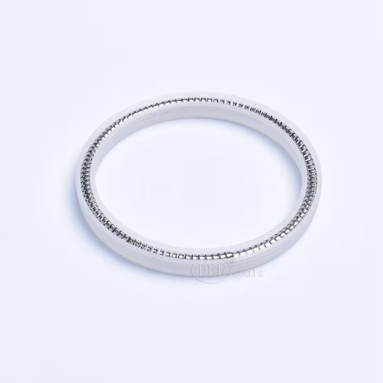 High Quality PTFE Spring Energized Seals with Slanted Coil Spring