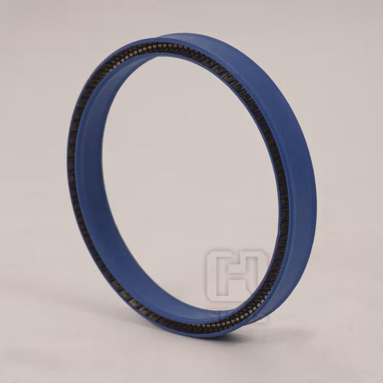 강력한 압력 저항 스프링 에너자이징 씰 PTFE O 링 씰